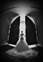 Wedding Photographer
